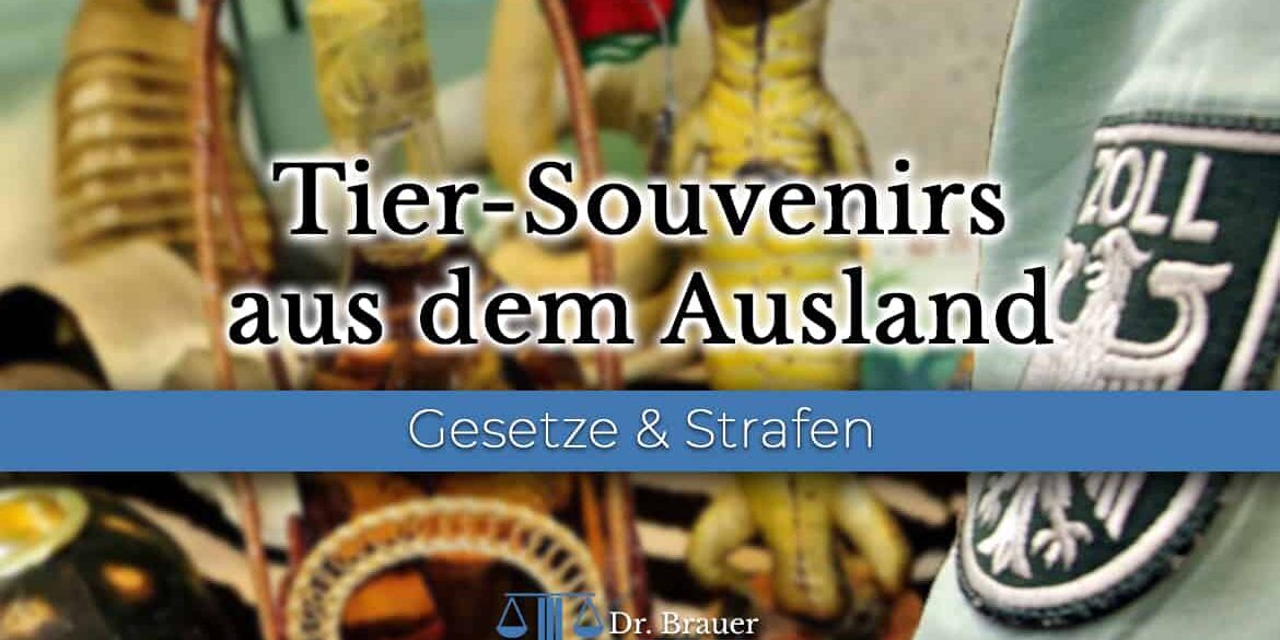 Pelz im Ausland gekauft - Darf ich Tier-Souvenirs nach Deutschland einführen?