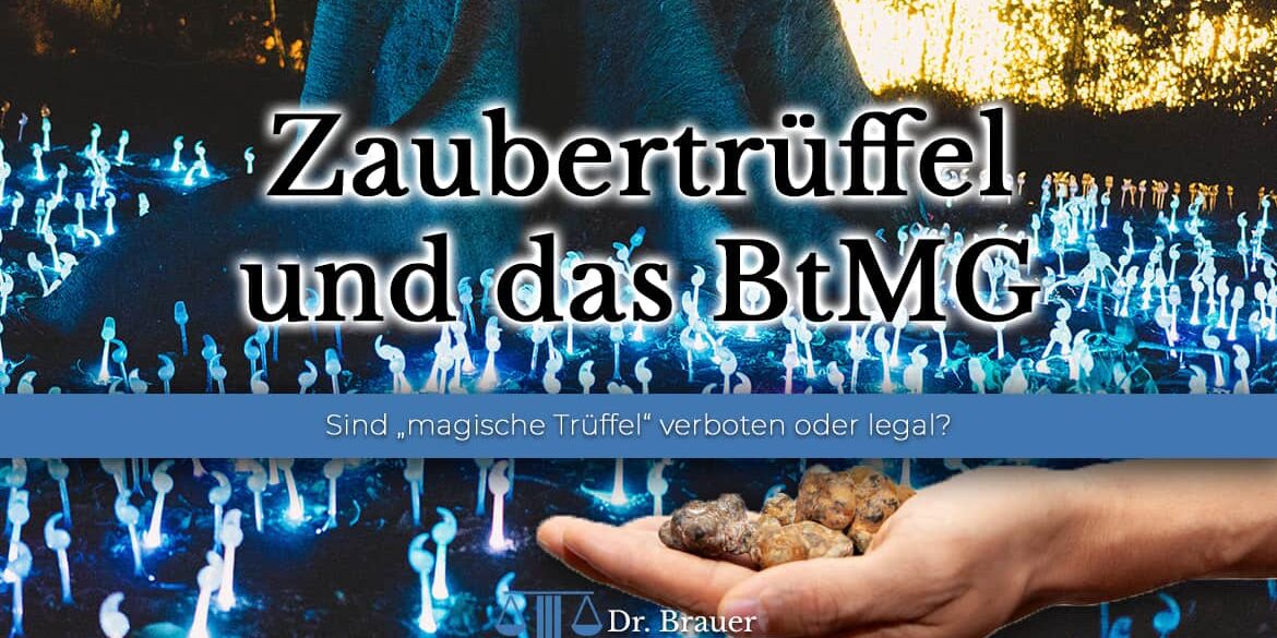 Sind Zaubertrüffel in Deutschland legal? Verstoß gegen das BtMG