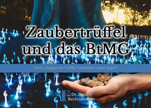 Sind Zaubertrüffel in Deutschland legal? Verstoß gegen das BtMG