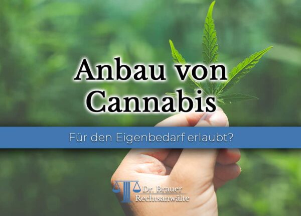 Anbau von Cannabis in Deutschland