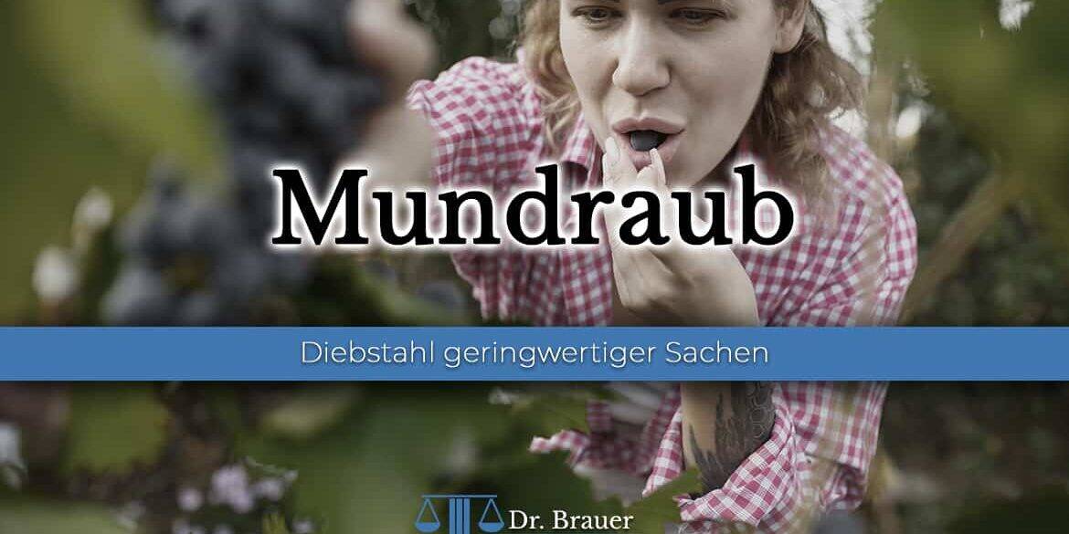 Mundraub: Diebstahl geringwertiger Sachen