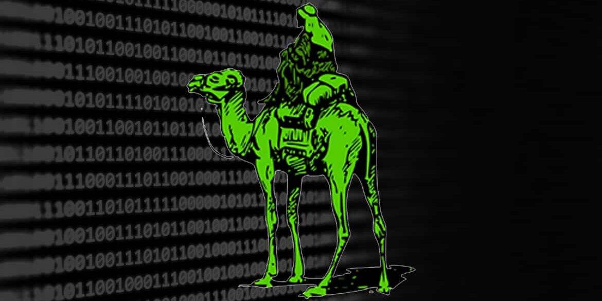 Der Fall Silk Road