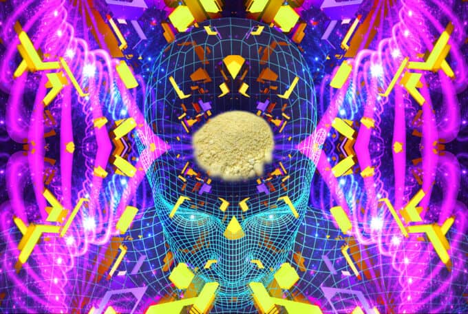 DMT: Die halluzinogene Droge und das BtMG