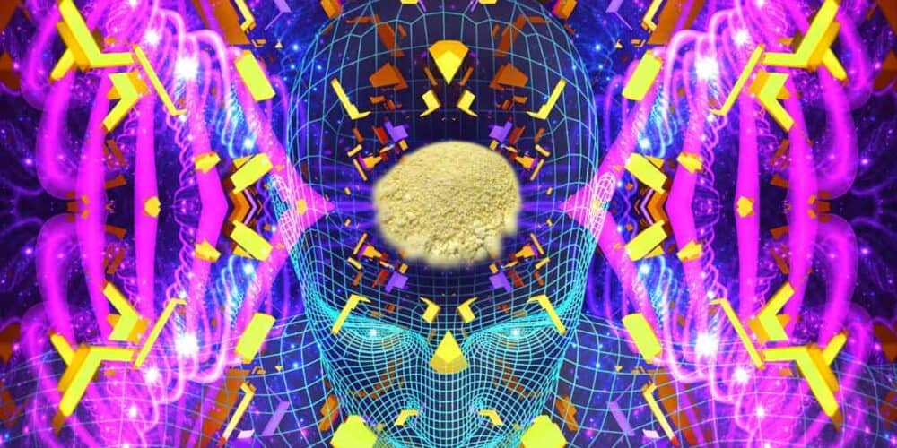 DMT: Die halluzinogene Droge und das BtMG