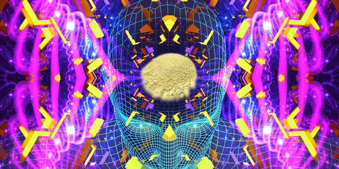DMT: Die halluzinogene Droge und das BtMG