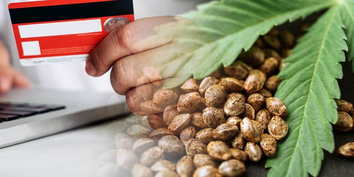Cannabis Samen Sparkasse