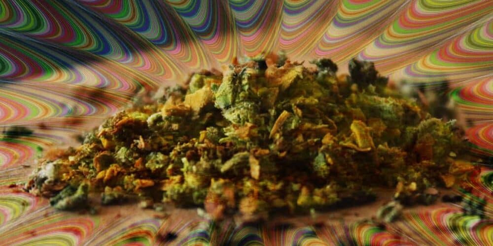 Changa - DMT